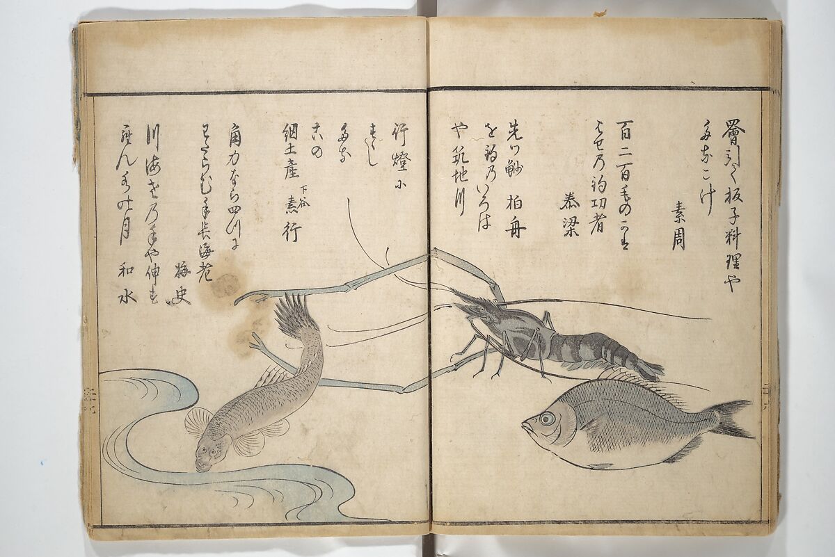 The Servants of the Dragon King of the Sea: Fish and Shells (Tatsu no miyatsuko gyokai fu) 龍の宮津子魚貝譜, Kuwagata Keisai 鍬形蕙斎 (Japanese, 1764–1824), Woodblock printed book; ink and color on paper, Japan