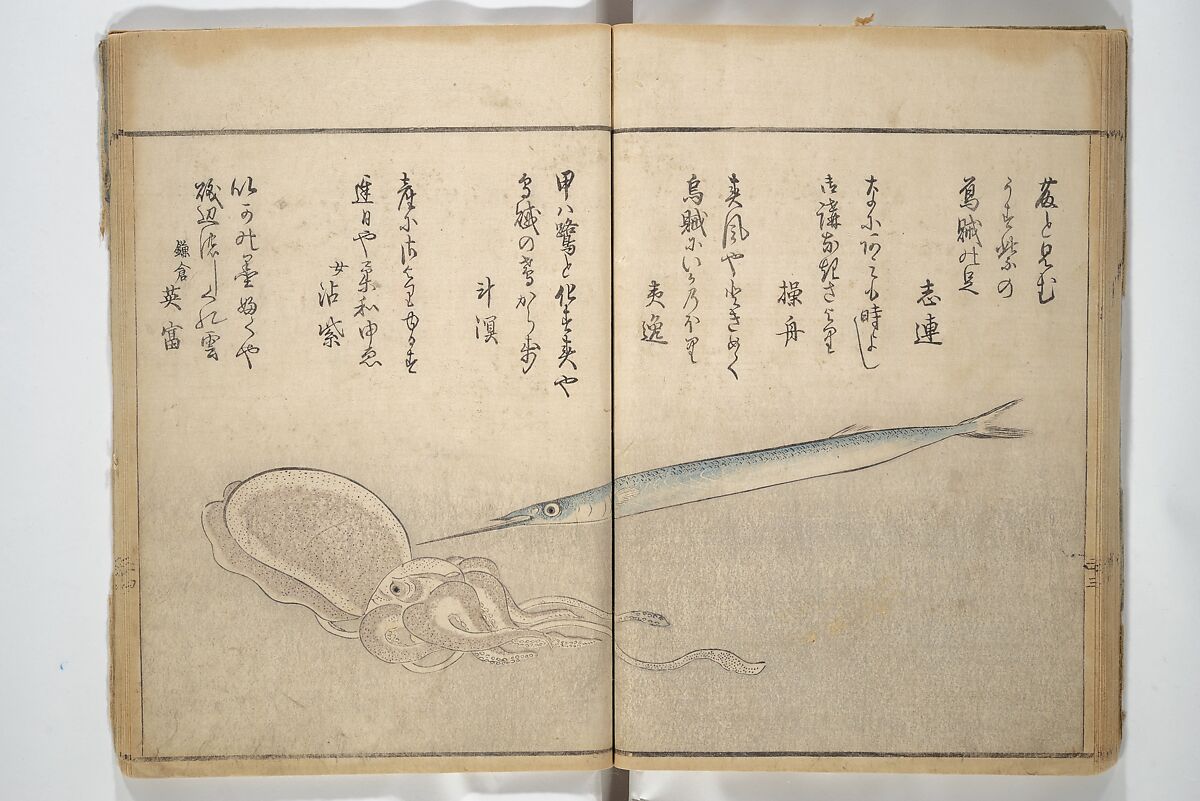 The Servants of the Dragon King of the Sea: Fish and Shells (Tatsu no miyatsuko gyokai fu) 龍の宮津子魚貝譜, Kuwagata Keisai 鍬形蕙斎 (Japanese, 1764–1824), Woodblock printed book; ink and color on paper, Japan
