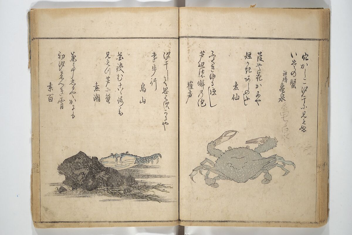 The Servants of the Dragon King of the Sea: Fish and Shells (Tatsu no miyatsuko gyokai fu) 龍の宮津子魚貝譜, Kuwagata Keisai 鍬形蕙斎 (Japanese, 1764–1824), Woodblock printed book; ink and color on paper, Japan
