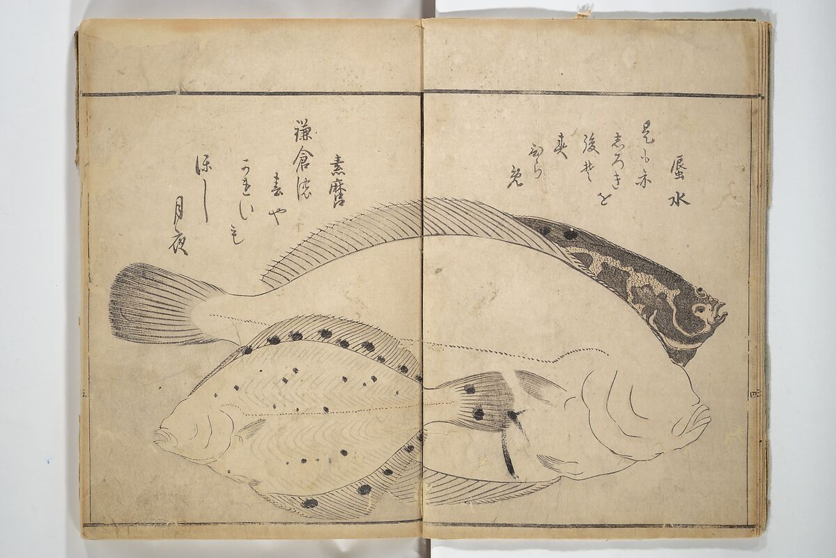 The Servants of the Dragon King of the Sea: Fish and Shells (Tatsu no miyatsuko gyokai fu) 龍の宮津子魚貝譜, Kuwagata Keisai 鍬形蕙斎 (Japanese, 1764–1824), Woodblock printed book; ink and color on paper, Japan