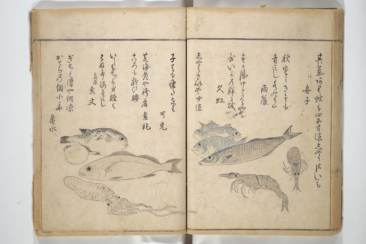 The Servants of the Dragon King of the Sea: Fish and Shells (Tatsu no miyatsuko gyokai fu) 龍の宮津子魚貝譜, Kuwagata Keisai 鍬形蕙斎 (Japanese, 1764–1824), Woodblock printed book; ink and color on paper, Japan