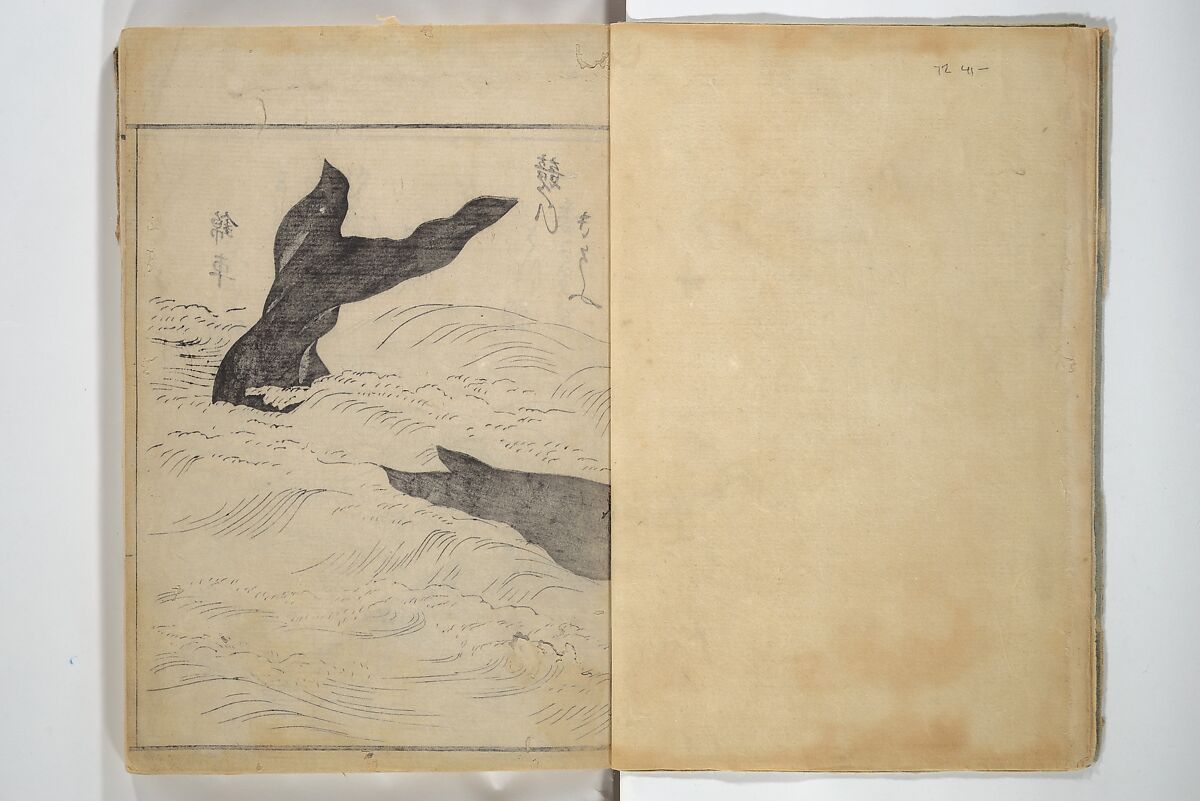 The Servants of the Dragon King of the Sea: Fish and Shells (Tatsu no miyatsuko gyokai fu) 龍の宮津子魚貝譜, Kuwagata Keisai 鍬形蕙斎 (Japanese, 1764–1824), Woodblock printed book; ink and color on paper, Japan