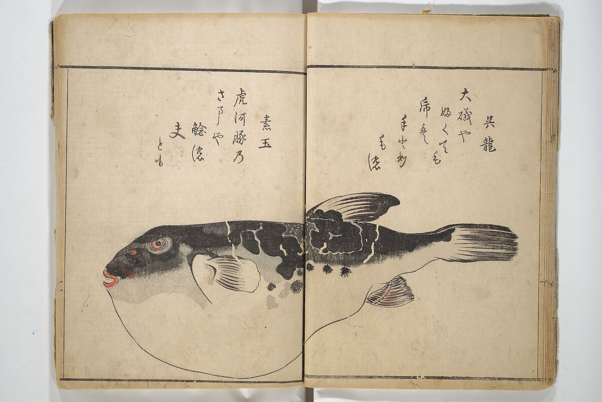 The Servants of the Dragon King of the Sea: Fish and Shells (Tatsu no miyatsuko gyokai fu) 龍の宮津子魚貝譜, Kuwagata Keisai 鍬形蕙斎 (Japanese, 1764–1824), Woodblock printed book; ink and color on paper, Japan 