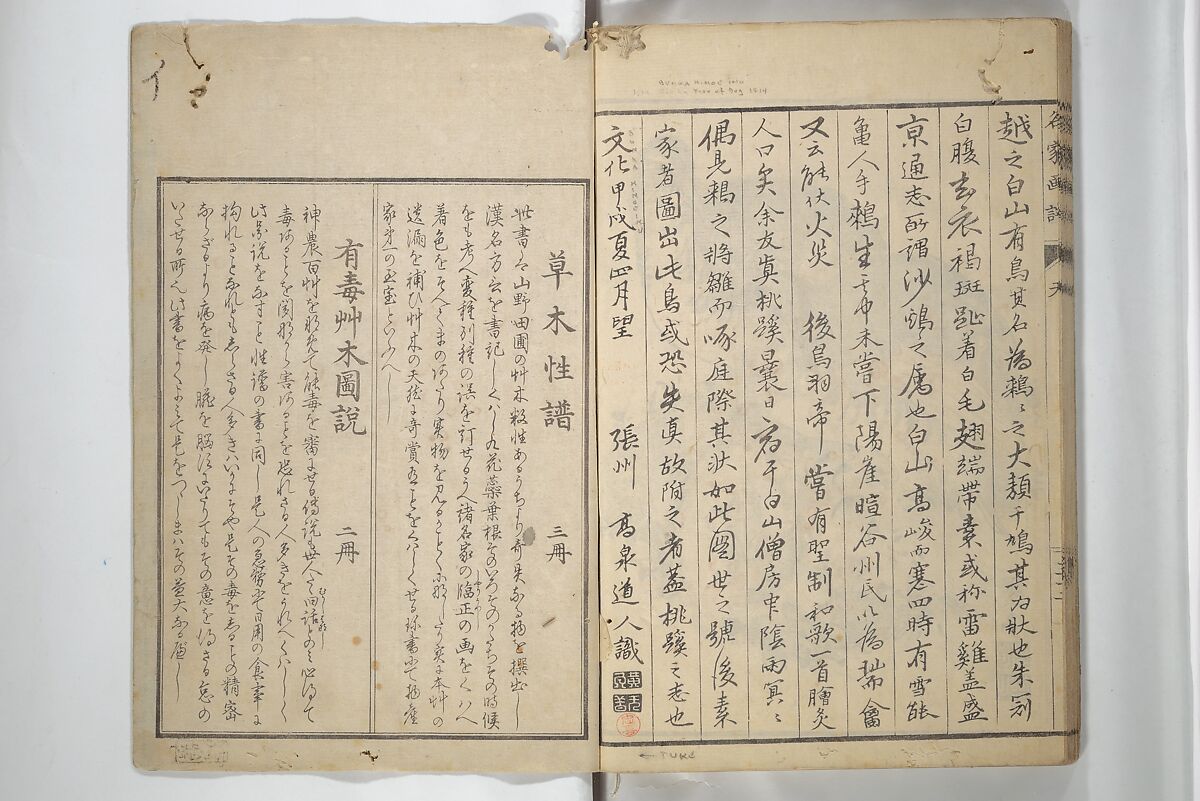 Pictures by Famous Artists (Meika gafu) 名家画譜, Yosa Buson 与謝蕪村 (Japanese, 1716–1783)  , and others, Set of two woodblock printed books; ink and color on paper, Japan
