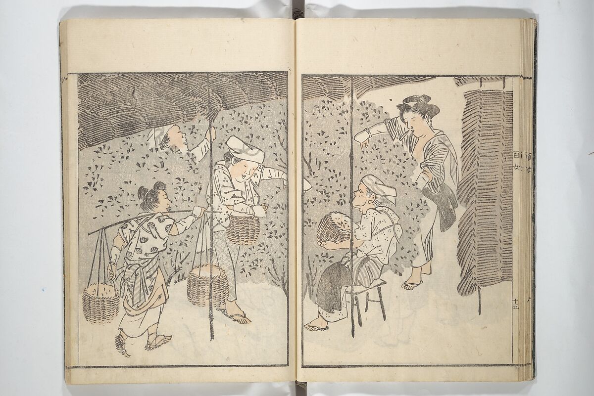 Sketchbook of One Hundred Women (Manga hyakujo) 漫画百女, Aikawa Minwa 合川珉和 (Japanese, active 1806–1821), Woodblock printed book; ink and color on paper, Japan