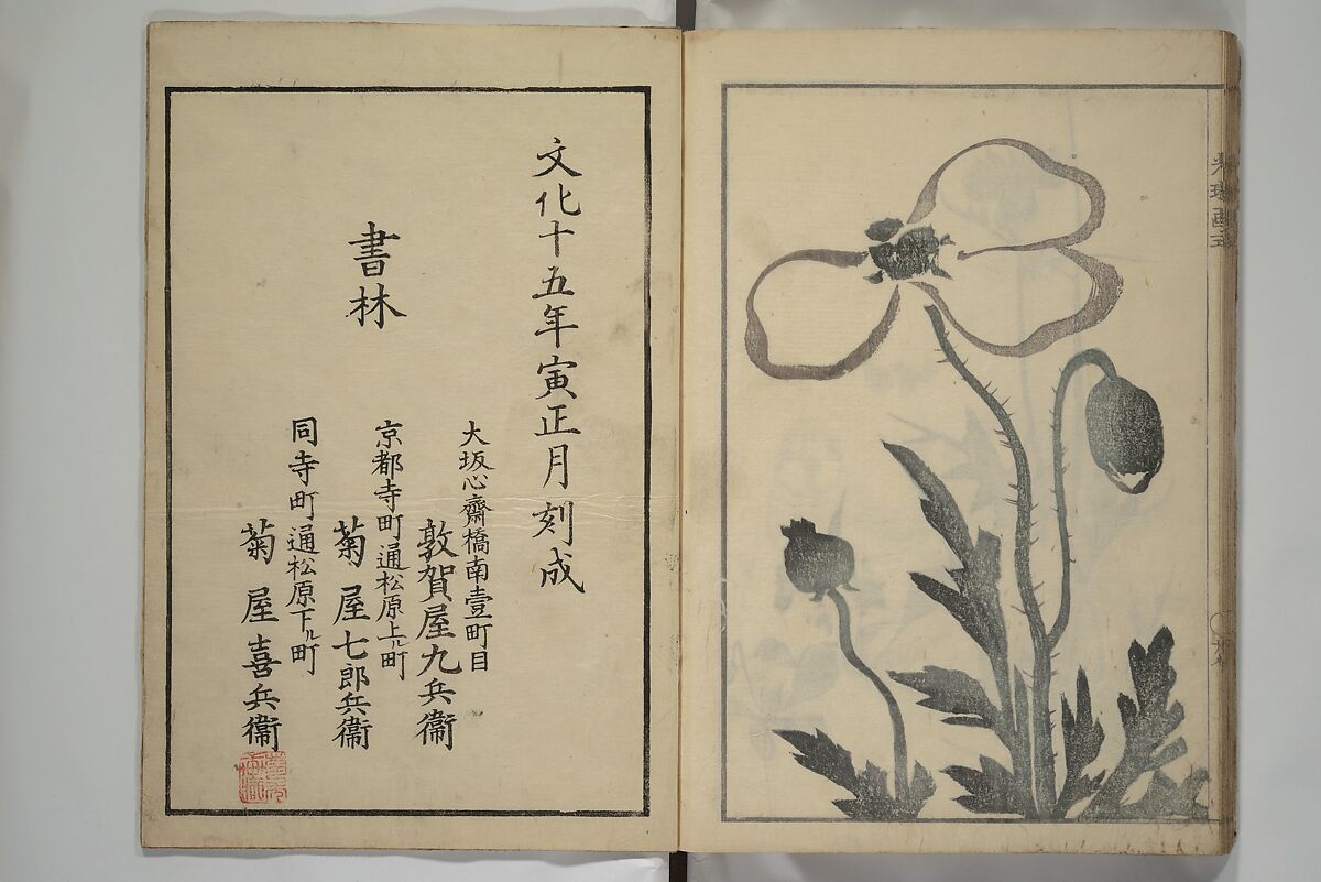 Kōrin's painting style (Kōrin gashiki) 光琳画式, Aikawa Minwa 合川珉和 (Japanese, active 1806–1821), Woodblock printed book; ink and color on paper, Japan