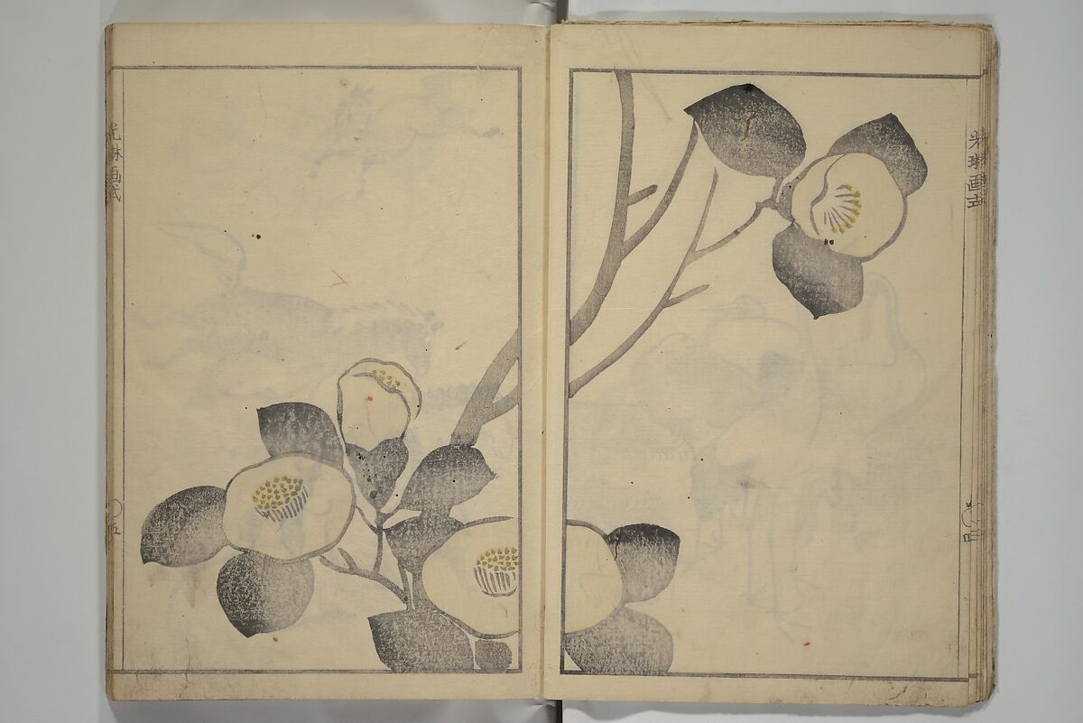 Kōrin's painting style (Kōrin gashiki) 光琳画式, Aikawa Minwa 合川珉和 (Japanese, active 1806–1821), Woodblock printed book; ink and color on paper, Japan