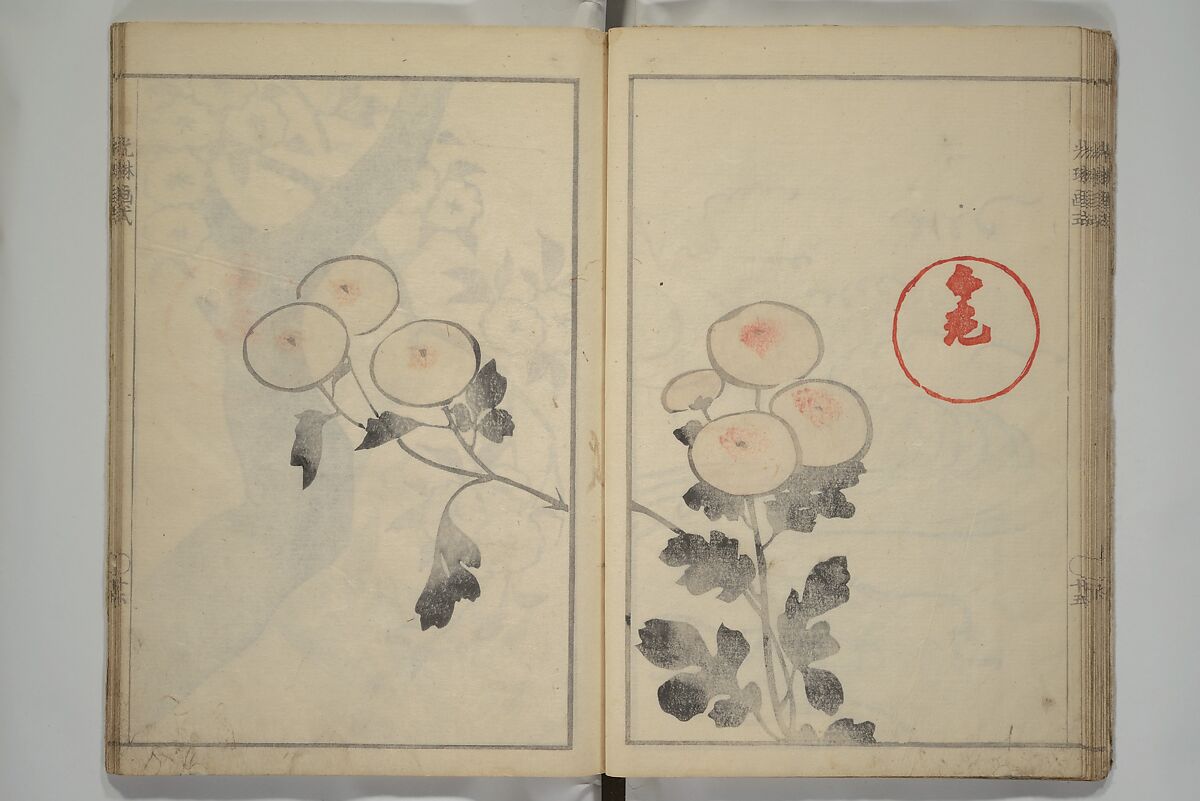 Kōrin's painting style (Kōrin gashiki) 光琳画式, Aikawa Minwa 合川珉和 (Japanese, active 1806–1821), Woodblock printed book; ink and color on paper, Japan