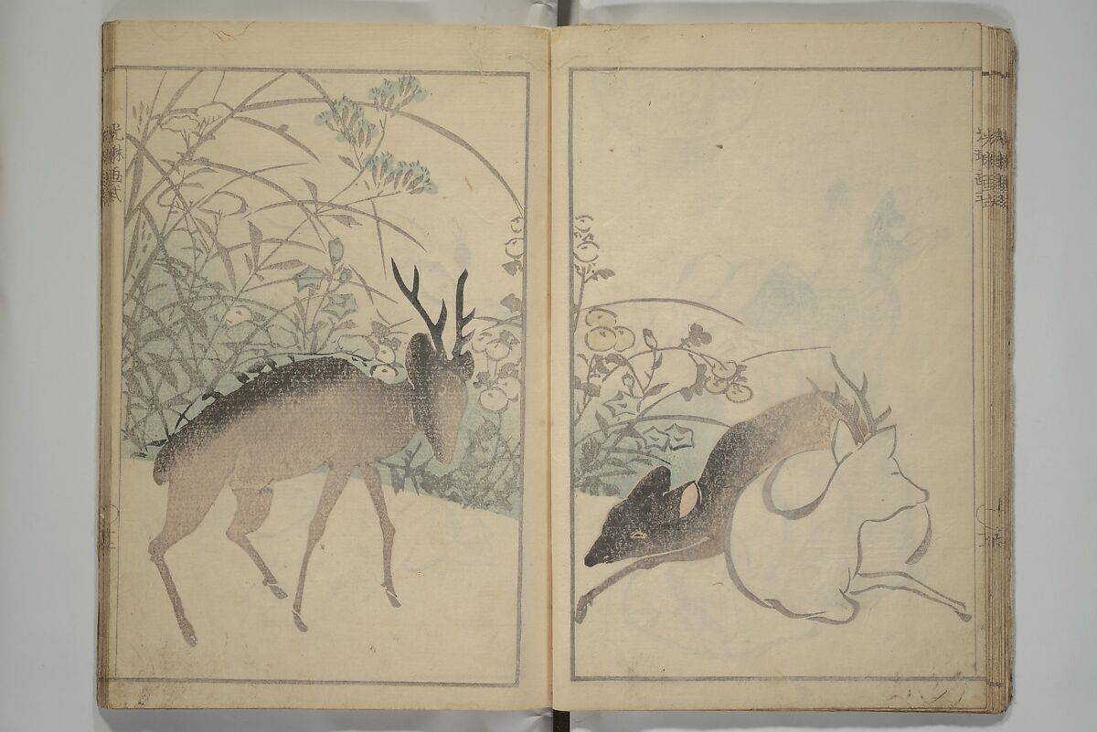 Kōrin's painting style (Kōrin gashiki) 光琳画式, Aikawa Minwa 合川珉和 (Japanese, active 1806–1821), Woodblock printed book; ink and color on paper, Japan