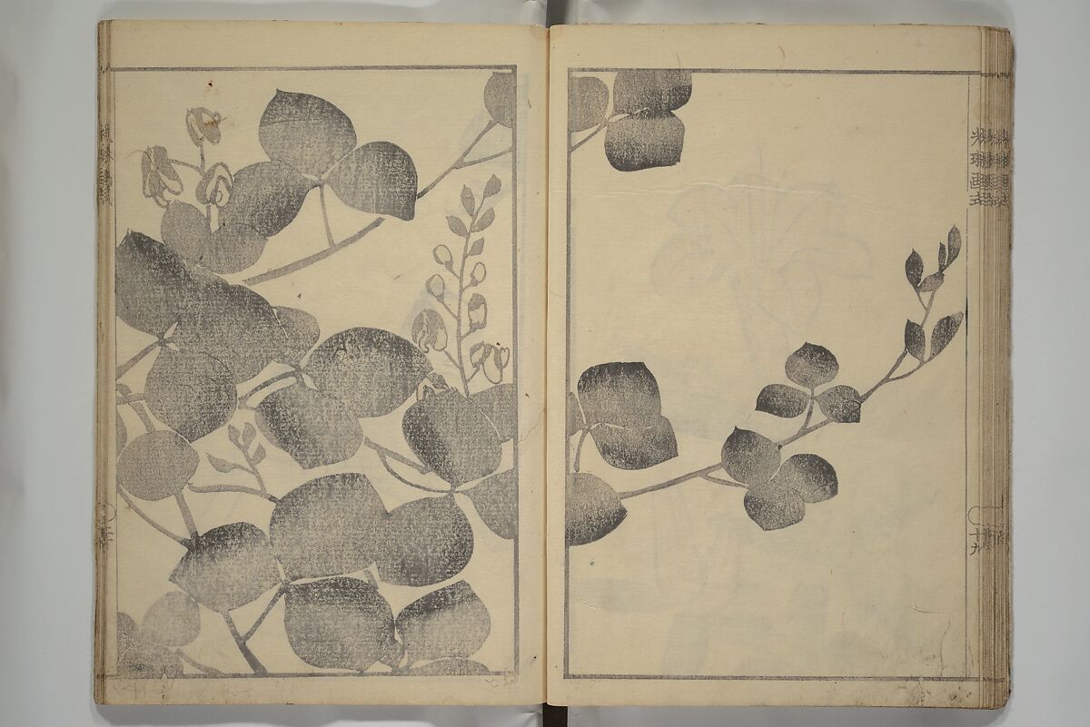 Kōrin's painting style (Kōrin gashiki) 光琳画式, Aikawa Minwa 合川珉和 (Japanese, active 1806–1821), Woodblock printed book; ink and color on paper, Japan