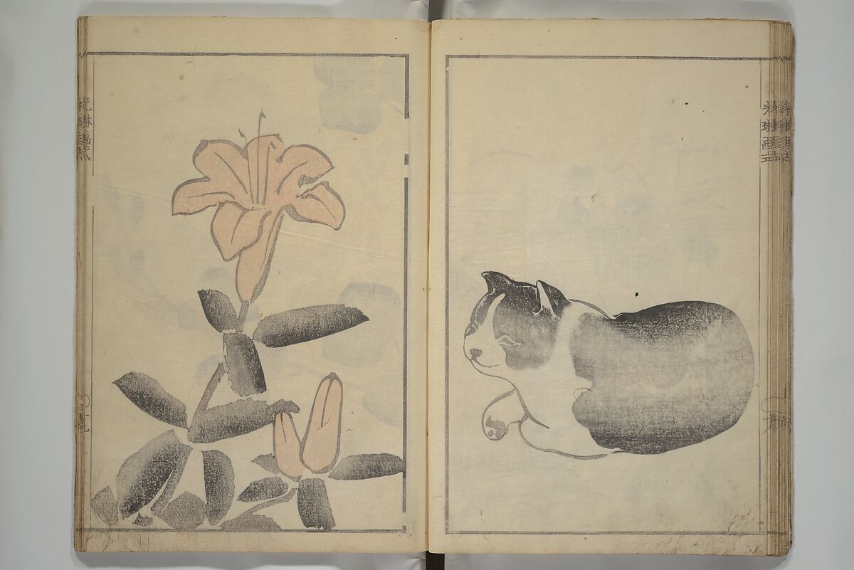Kōrin's painting style (Kōrin gashiki) 光琳画式, Aikawa Minwa 合川珉和 (Japanese, active 1806–1821), Woodblock printed book; ink and color on paper, Japan