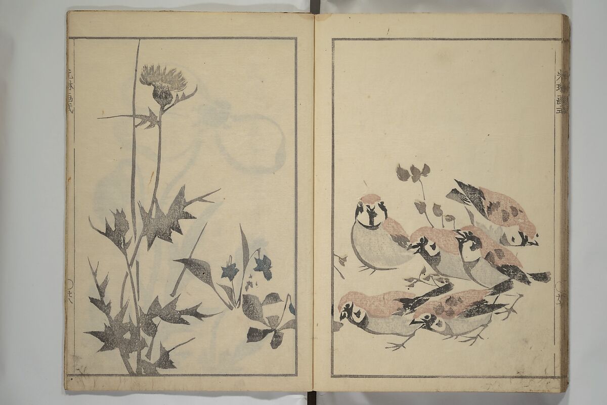 Kōrin's painting style (Kōrin gashiki) 光琳画式, Aikawa Minwa 合川珉和 (Japanese, active 1806–1821), Woodblock printed book; ink and color on paper, Japan