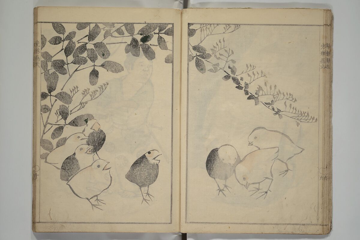Kōrin's painting style (Kōrin gashiki) 光琳画式, Aikawa Minwa 合川珉和 (Japanese, active 1806–1821), Woodblock printed book; ink and color on paper, Japan