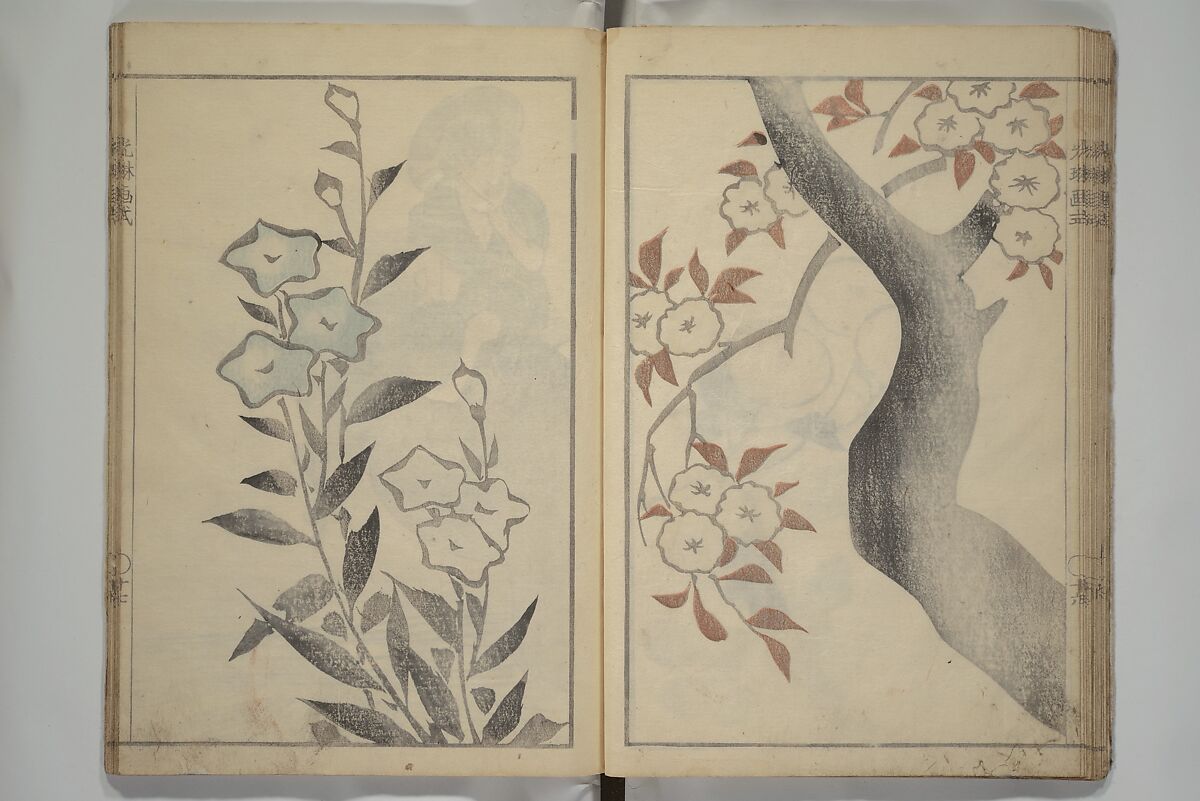 Kōrin's painting style (Kōrin gashiki) 光琳画式, Aikawa Minwa 合川珉和 (Japanese, active 1806–1821), Woodblock printed book; ink and color on paper, Japan