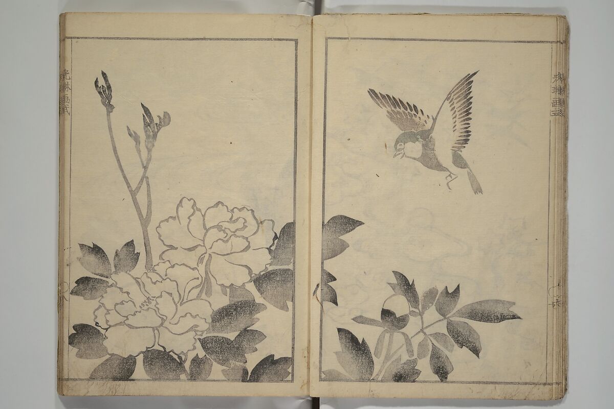 Kōrin's painting style (Kōrin gashiki) 光琳画式, Aikawa Minwa 合川珉和 (Japanese, active 1806–1821), Woodblock printed book; ink and color on paper, Japan