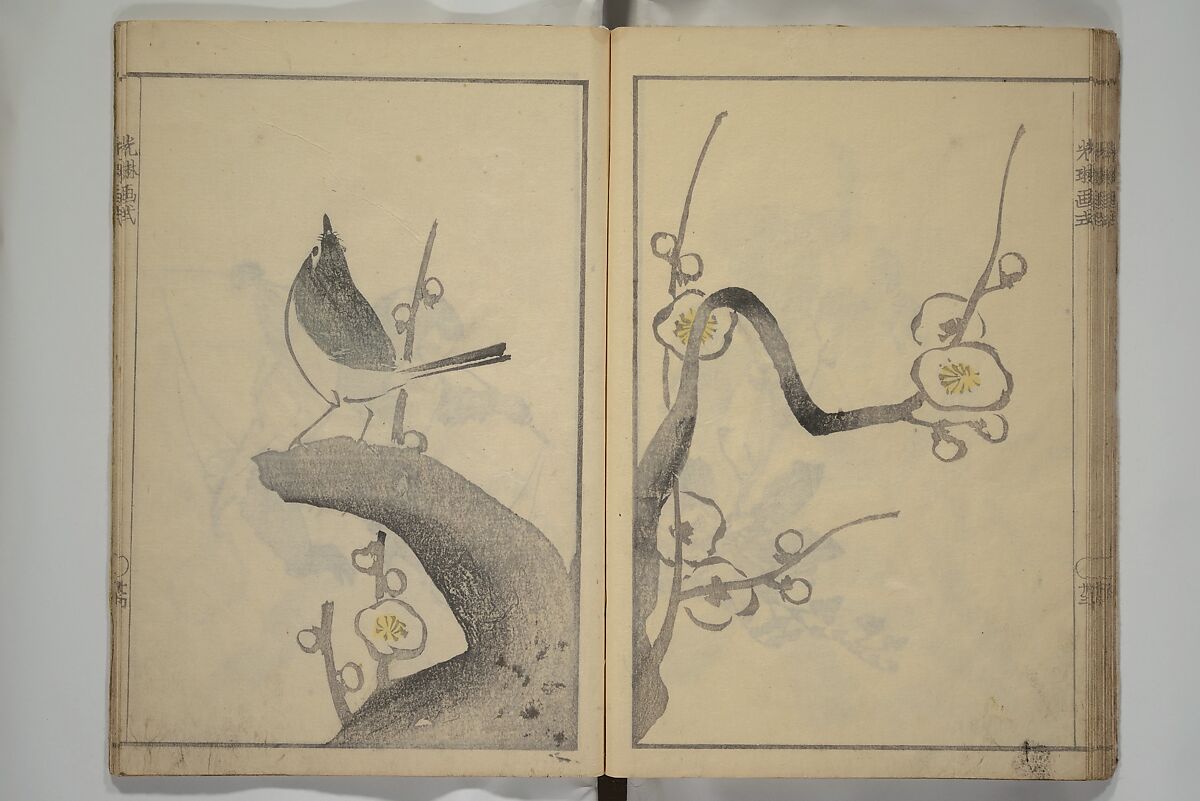 Kōrin's painting style (Kōrin gashiki) 光琳画式, Aikawa Minwa 合川珉和 (Japanese, active 1806–1821), Woodblock printed book; ink and color on paper, Japan