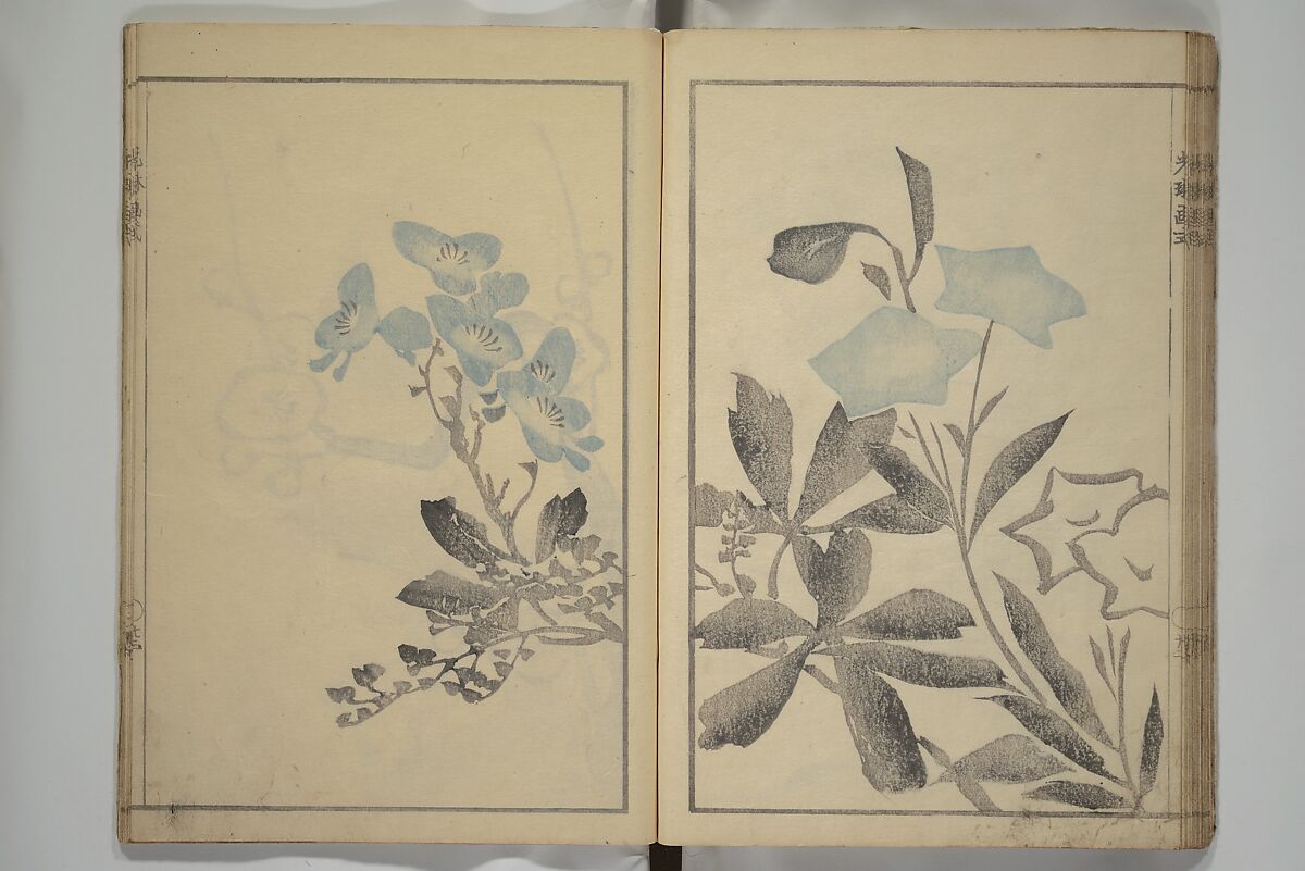 Kōrin's painting style (Kōrin gashiki) 光琳画式, Aikawa Minwa 合川珉和 (Japanese, active 1806–1821), Woodblock printed book; ink and color on paper, Japan