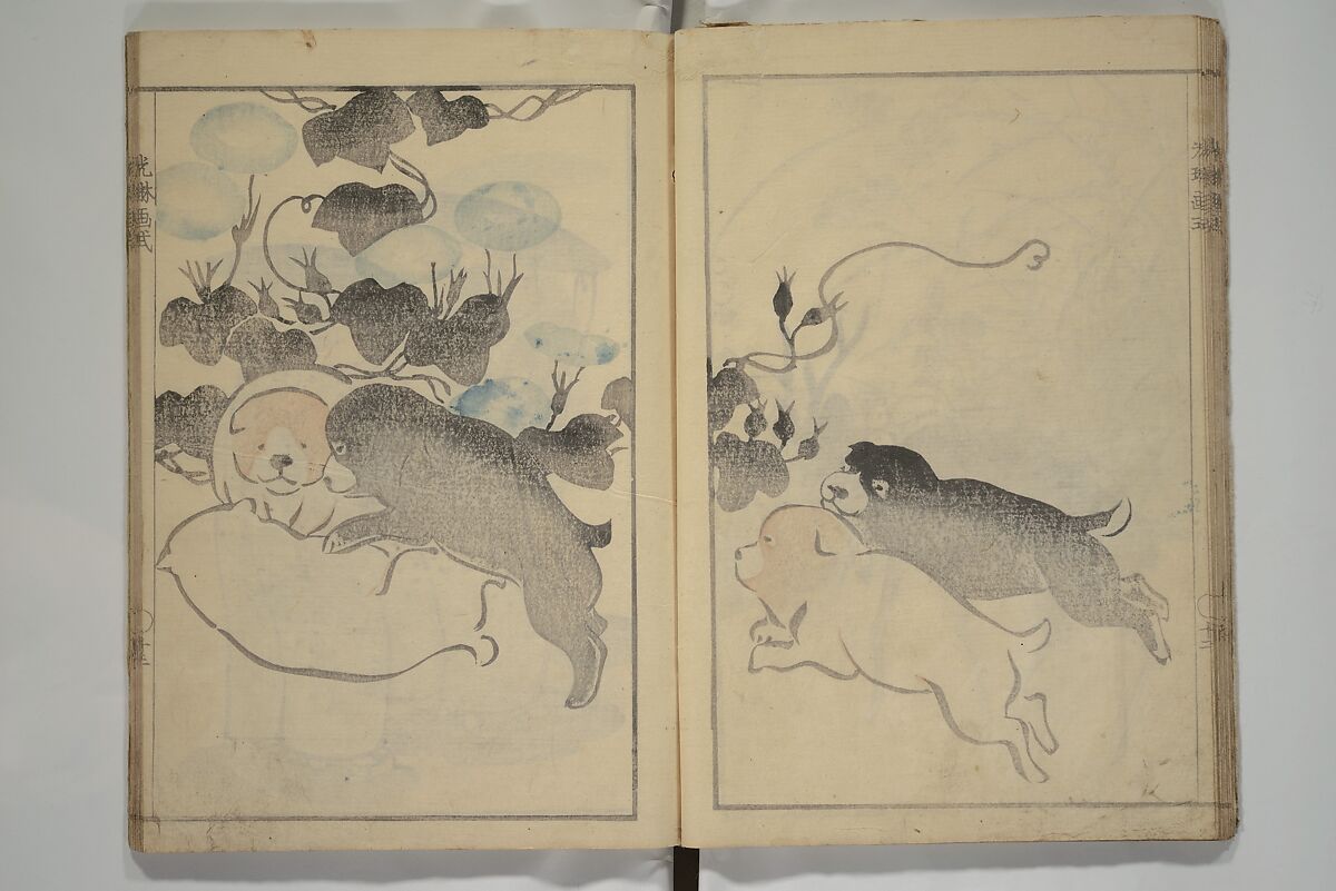 Kōrin's painting style (Kōrin gashiki) 光琳画式, Aikawa Minwa 合川珉和 (Japanese, active 1806–1821), Woodblock printed book; ink and color on paper, Japan