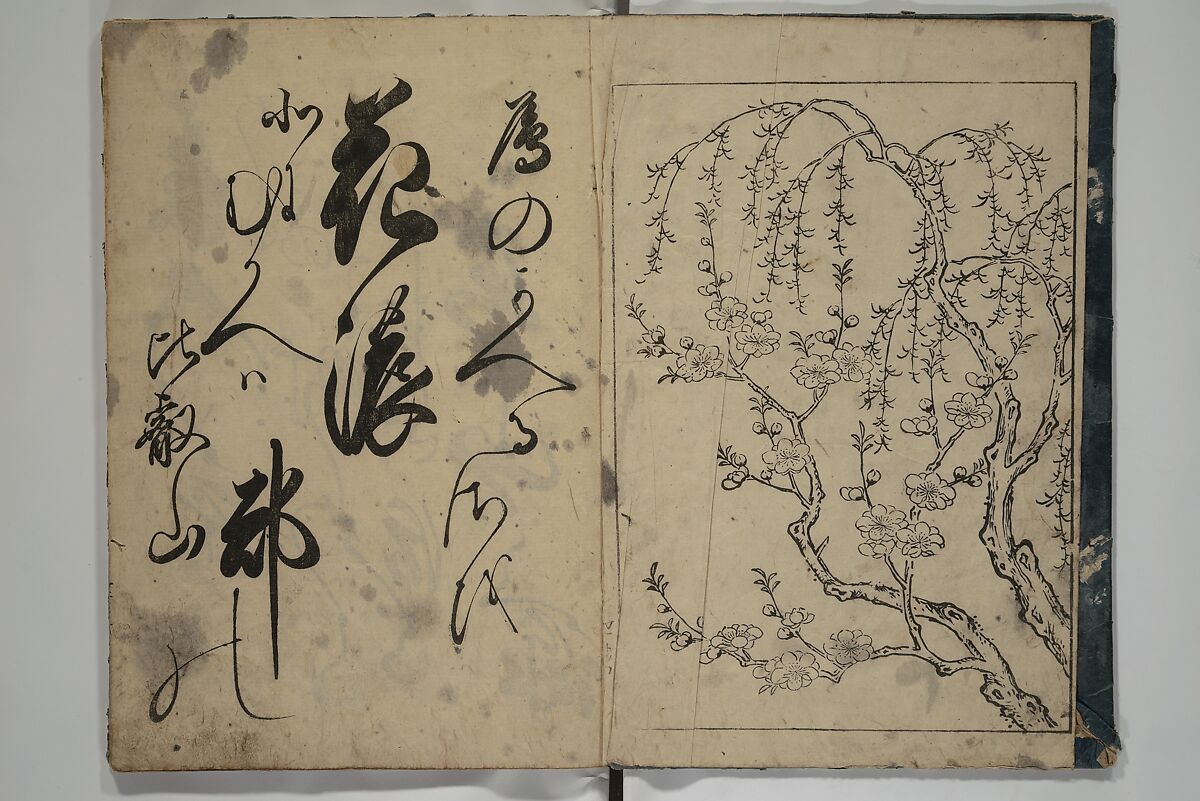 The Cicada Stream (Semi no Ogawa)  蝉小川, After Hasegawa Myōtei 長谷川妙躰 (Japanese, active late 17th century), Set of three woodblock printed books; ink on paper, Japan
