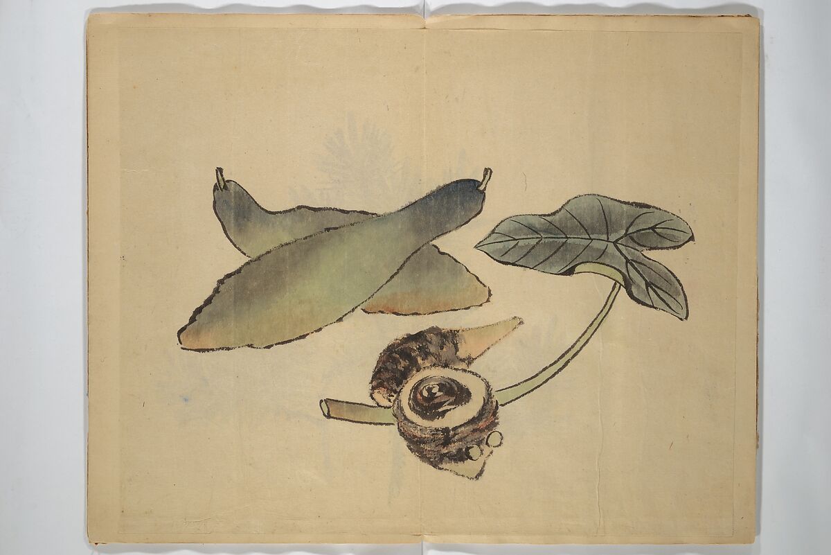 A Picture Book of Practice Sketches (Keiko ehon) 稽古絵本, Rinsai Ōkubo 林斎大久保 (Japanese, 19th century), Bound volume of drawings; ink and color on paper, Japan