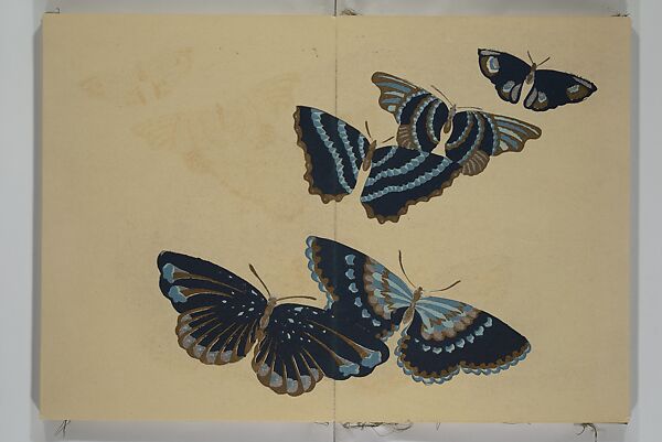 A Thousand Butterflies (Chō senshu)  蝶千種, Kamisaka Sekka 神阪雪佳 (Japanese, 1866–1942), Set of two woodblock printed books (orihon, accordion-style); ink and color on paper, Japan