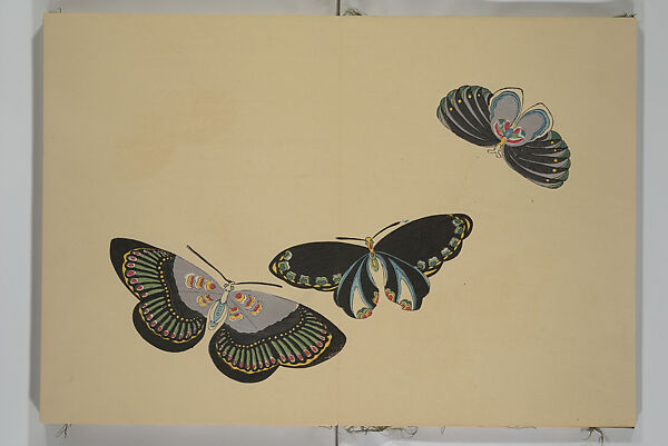 A Thousand Butterflies (Chō senshu)  蝶千種, Kamisaka Sekka 神阪雪佳 (Japanese, 1866–1942), Set of two woodblock printed books (orihon, accordion-style); ink and color on paper, Japan 