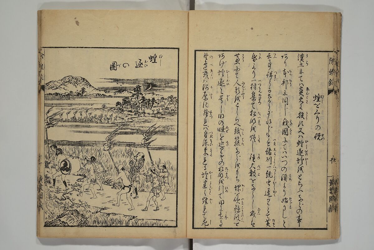 Whales and Whale Oil (Jokō roku) 除蝗録, Hasegawa Settan 長谷川雪旦 (Japanese, 1778–1843), Woodblock printed book; ink on paper, Japan