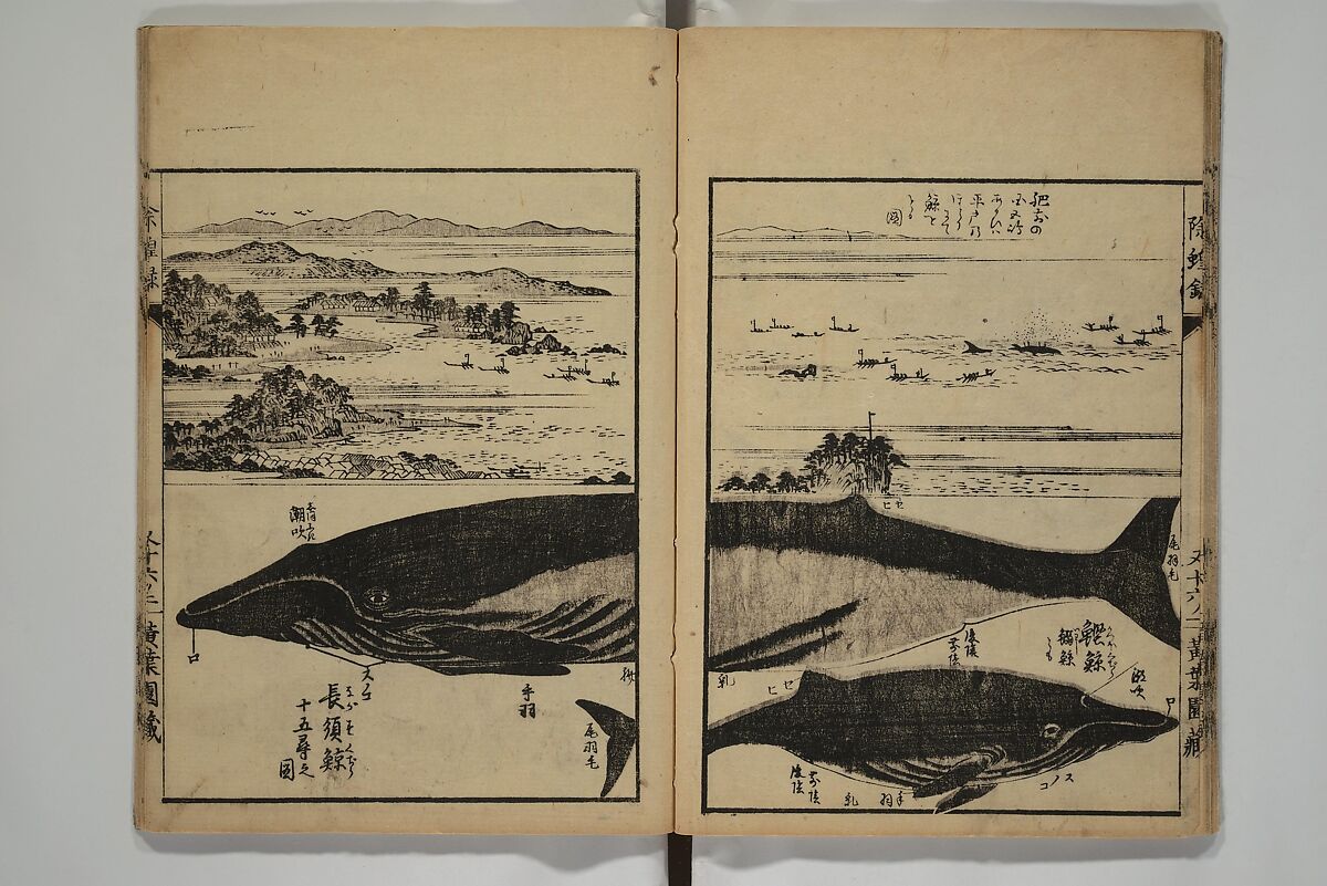 Whales and Whale Oil (Jokō roku) 除蝗録, Hasegawa Settan 長谷川雪旦 (Japanese, 1778–1843), Woodblock printed book; ink on paper, Japan 