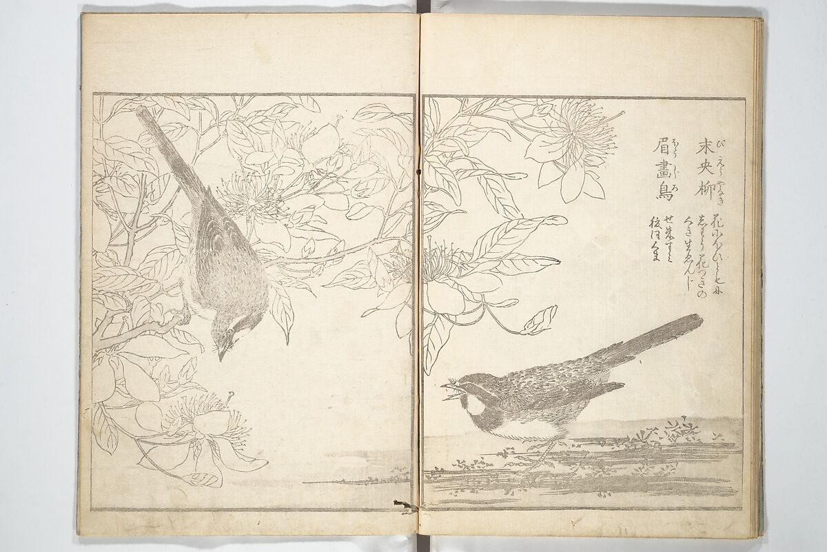 True Depictions of Bird and Flower Pictures (Kachōe shashin zui) 花鳥写真図彙; 花鳥写真図会(かちょうえ しゃしん ずえ), Kitao Shigemasa 北尾重政 (Japanese, 1739–1820), Set of three woodblock printed books; ink on paper, Japan