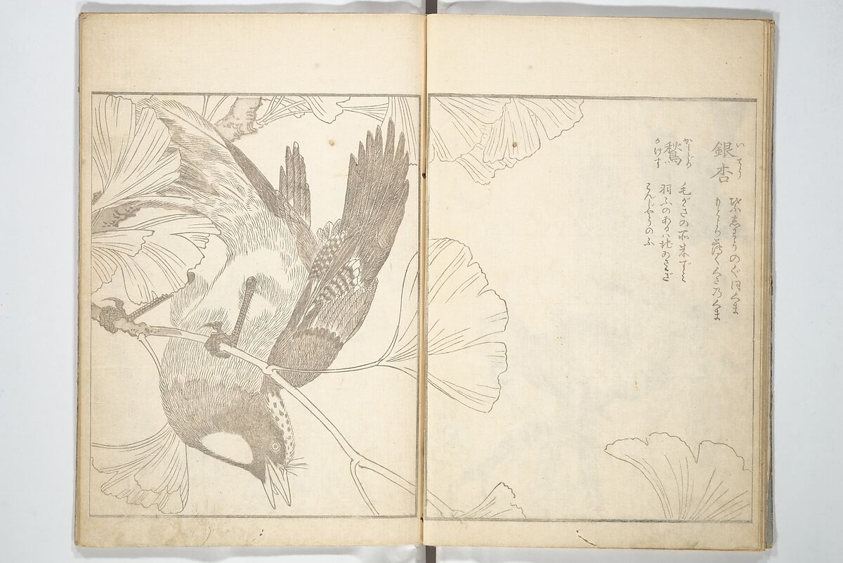 True Depictions of Bird and Flower Pictures (Kachōe shashin zui) 花鳥写真図彙; 花鳥写真図会(かちょうえ しゃしん ずえ), Kitao Shigemasa 北尾重政 (Japanese, 1739–1820), Set of three woodblock printed books; ink on paper, Japan