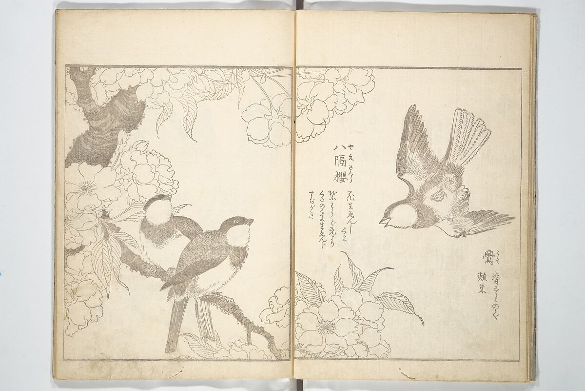 True Depictions of Bird and Flower Pictures (Kachōe shashin zui) 花鳥写真図彙; 花鳥写真図会(かちょうえ しゃしん ずえ), Kitao Shigemasa 北尾重政 (Japanese, 1739–1820), Set of three woodblock printed books; ink on paper, Japan