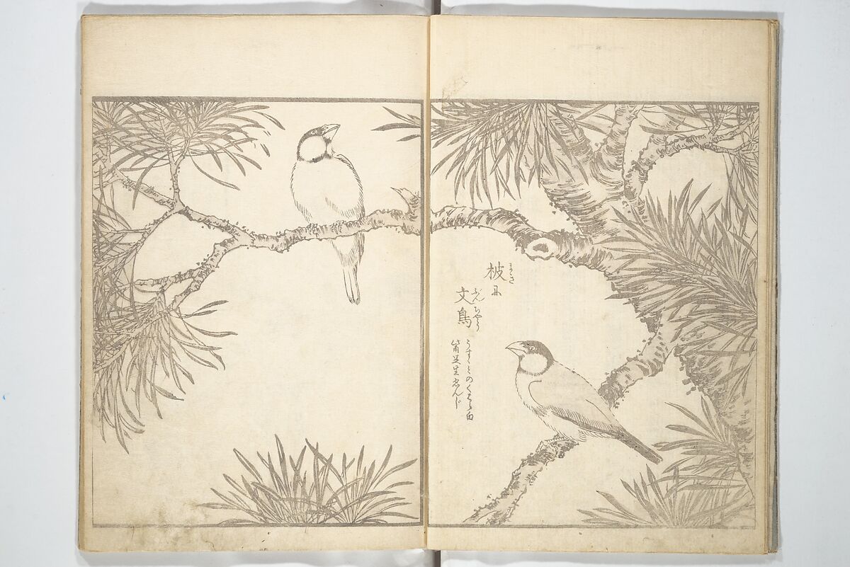 True Depictions of Bird and Flower Pictures (Kachōe shashin zui) 花鳥写真図彙; 花鳥写真図会(かちょうえ しゃしん ずえ), Kitao Shigemasa 北尾重政 (Japanese, 1739–1820), Set of three woodblock printed books; ink on paper, Japan