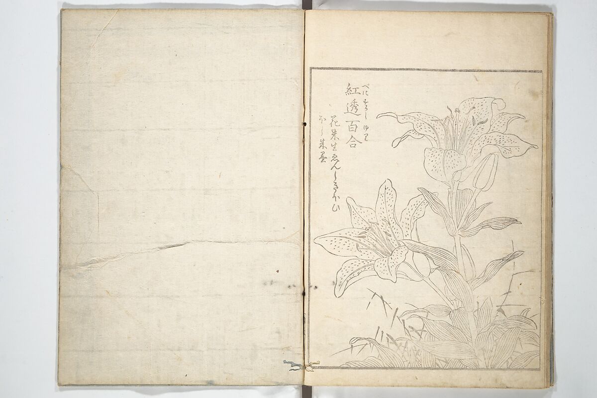 True Depictions of Bird and Flower Pictures (Kachōe shashin zui) 花鳥写真図彙; 花鳥写真図会(かちょうえ しゃしん ずえ), Kitao Shigemasa 北尾重政 (Japanese, 1739–1820), Set of three woodblock printed books; ink on paper, Japan