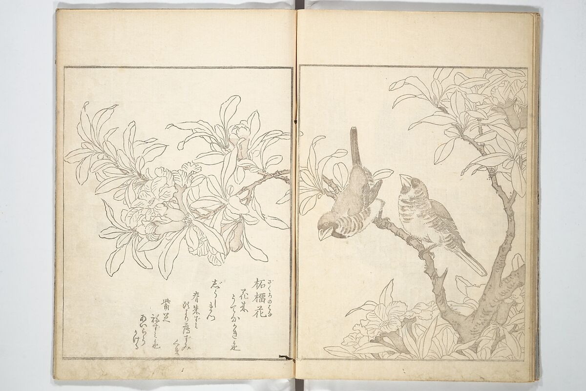 True Depictions of Bird and Flower Pictures (Kachōe shashin zui) 花鳥写真図彙; 花鳥写真図会(かちょうえ しゃしん ずえ), Kitao Shigemasa 北尾重政 (Japanese, 1739–1820), Set of three woodblock printed books; ink on paper, Japan
