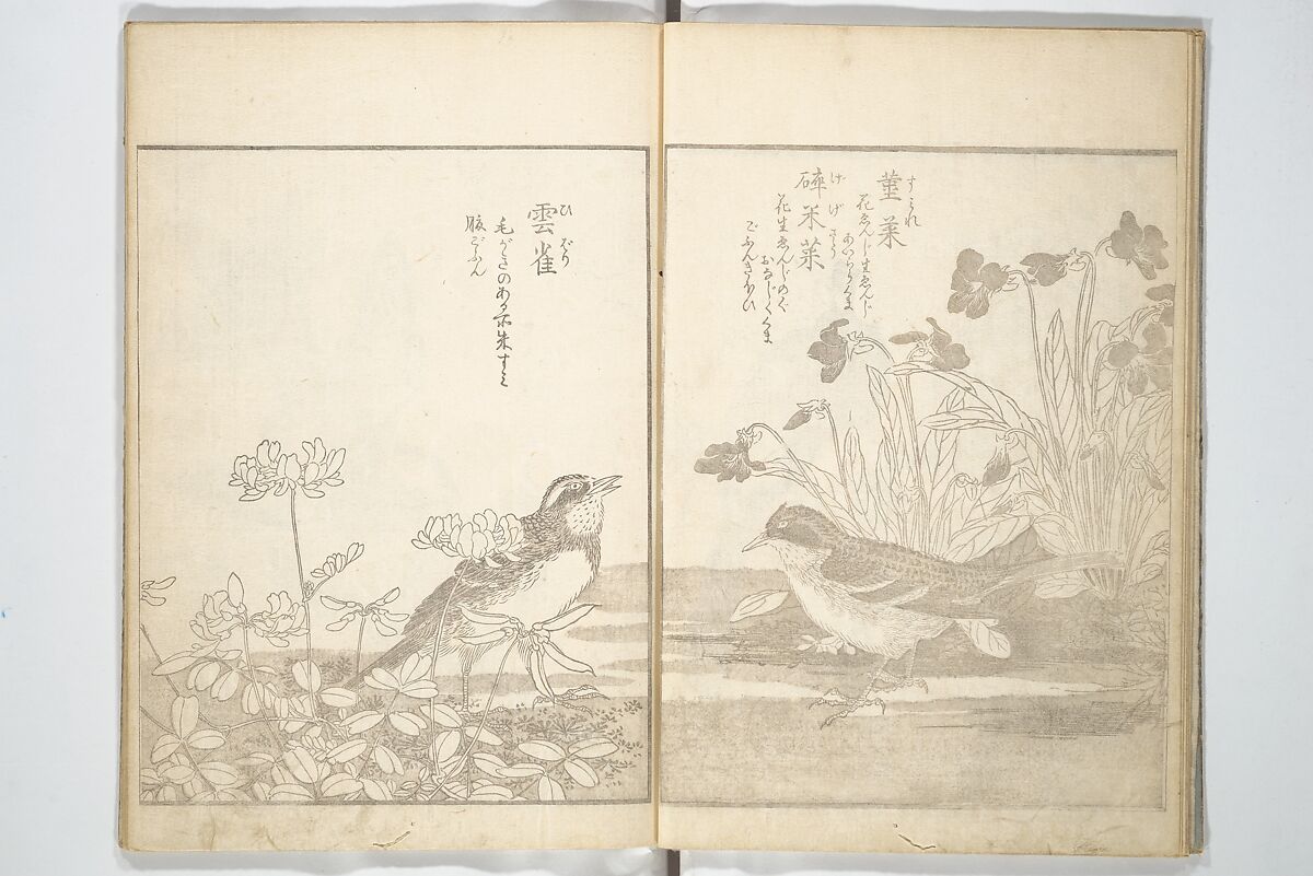 True Depictions of Bird and Flower Pictures (Kachōe shashin zui) 花鳥写真図彙; 花鳥写真図会(かちょうえ しゃしん ずえ), Kitao Shigemasa 北尾重政 (Japanese, 1739–1820), Set of three woodblock printed books; ink on paper, Japan