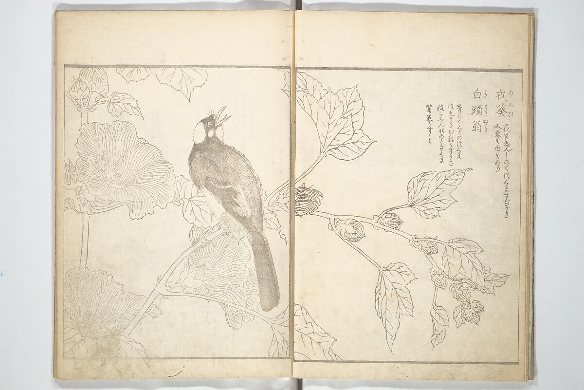True Depictions of Bird and Flower Pictures (Kachōe shashin zui) 花鳥写真図彙; 花鳥写真図会(かちょうえ しゃしん ずえ), Kitao Shigemasa 北尾重政 (Japanese, 1739–1820), Set of three woodblock printed books; ink on paper, Japan