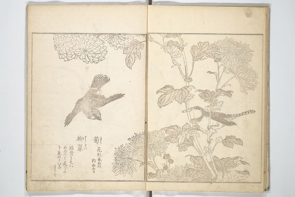 True Depictions of Bird and Flower Pictures (Kachōe shashin zui) 花鳥写真図彙; 花鳥写真図会(かちょうえ しゃしん ずえ), Kitao Shigemasa 北尾重政 (Japanese, 1739–1820), Set of three woodblock printed books; ink on paper, Japan