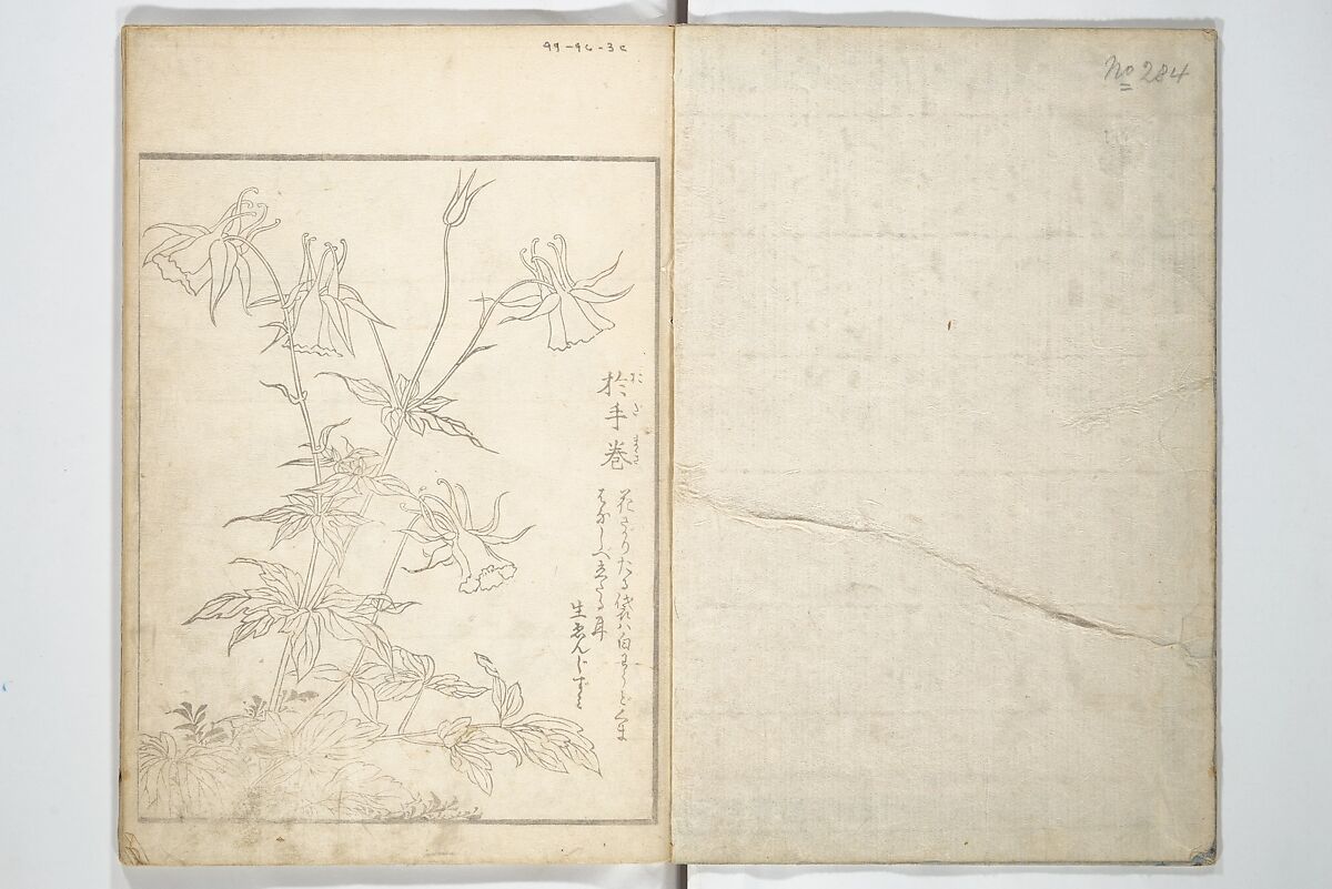 True Depictions of Bird and Flower Pictures (Kachōe shashin zui) 花鳥写真図彙; 花鳥写真図会(かちょうえ しゃしん ずえ), Kitao Shigemasa 北尾重政 (Japanese, 1739–1820), Set of three woodblock printed books; ink on paper, Japan