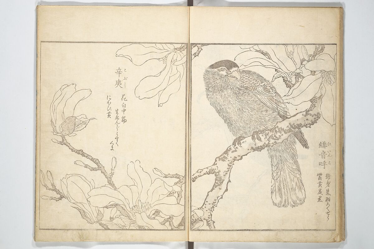 True Depictions of Bird and Flower Pictures (Kachōe shashin zui) 花鳥写真図彙; 花鳥写真図会(かちょうえ しゃしん ずえ), Kitao Shigemasa 北尾重政 (Japanese, 1739–1820), Set of three woodblock printed books; ink on paper, Japan