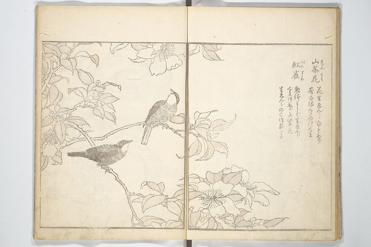 True Depictions of Bird and Flower Pictures (Kachōe shashin zui) 花鳥写真図彙; 花鳥写真図会(かちょうえ しゃしん ずえ), Kitao Shigemasa 北尾重政 (Japanese, 1739–1820), Set of three woodblock printed books; ink on paper, Japan