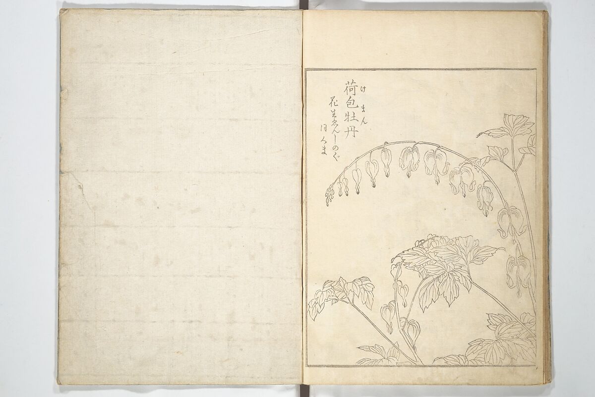 True Depictions of Bird and Flower Pictures (Kachōe shashin zui) 花鳥写真図彙; 花鳥写真図会(かちょうえ しゃしん ずえ), Kitao Shigemasa 北尾重政 (Japanese, 1739–1820), Set of three woodblock printed books; ink on paper, Japan
