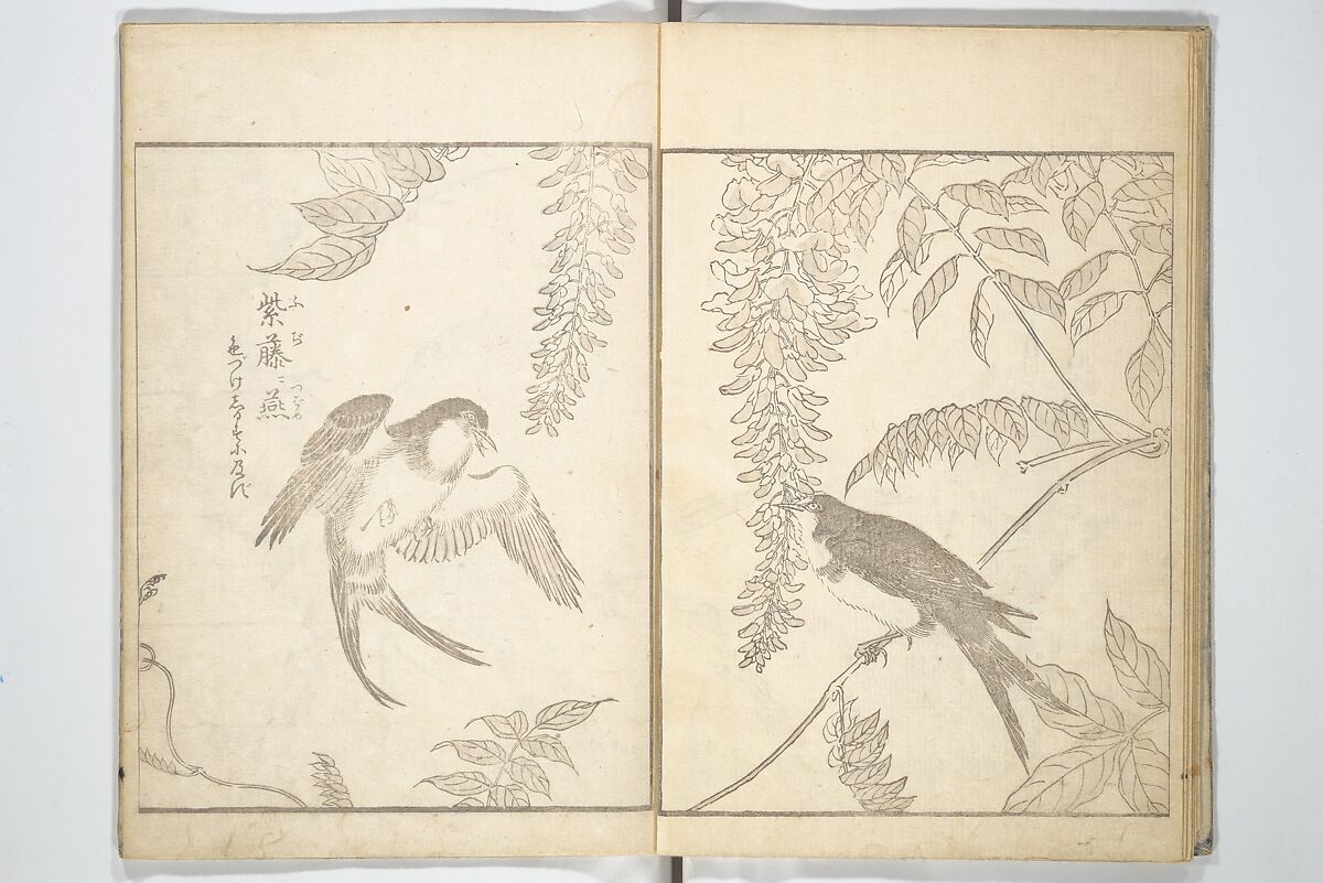 True Depictions of Bird and Flower Pictures (Kachōe shashin zui) 花鳥写真図彙; 花鳥写真図会(かちょうえ しゃしん ずえ), Kitao Shigemasa 北尾重政 (Japanese, 1739–1820), Set of three woodblock printed books; ink on paper, Japan