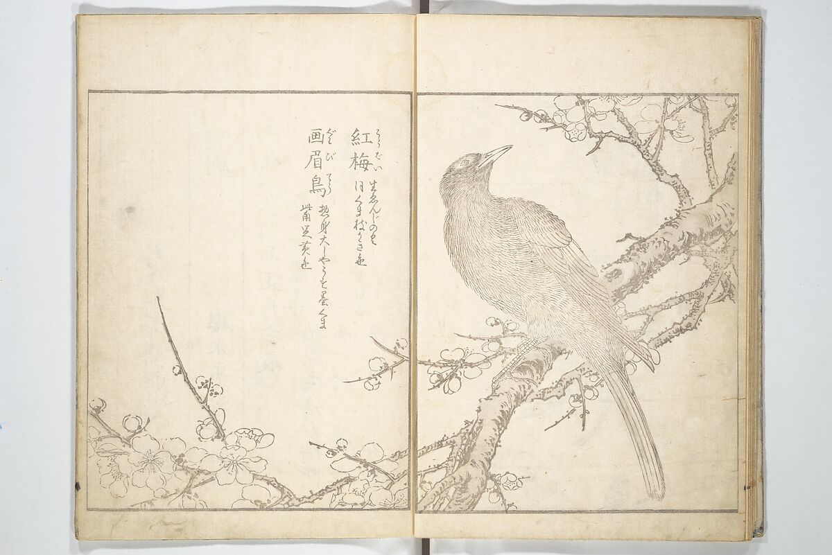 True Depictions of Bird and Flower Pictures (Kachōe shashin zui) 花鳥写真図彙; 花鳥写真図会(かちょうえ しゃしん ずえ), Kitao Shigemasa 北尾重政 (Japanese, 1739–1820), Set of three woodblock printed books; ink on paper, Japan