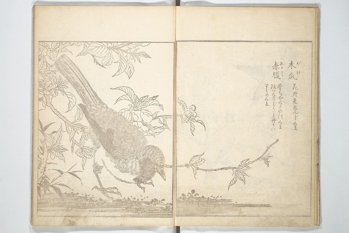 True Depictions of Bird and Flower Pictures (Kachōe shashin zui) 花鳥写真図彙; 花鳥写真図会(かちょうえ しゃしん ずえ), Kitao Shigemasa 北尾重政 (Japanese, 1739–1820), Set of three woodblock printed books; ink on paper, Japan