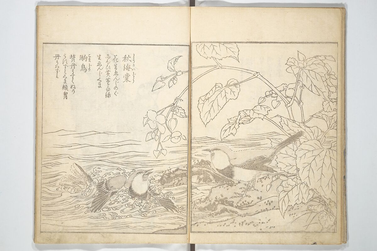 True Depictions of Bird and Flower Pictures (Kachōe shashin zui) 花鳥写真図彙; 花鳥写真図会(かちょうえ しゃしん ずえ), Kitao Shigemasa 北尾重政 (Japanese, 1739–1820), Set of three woodblock printed books; ink on paper, Japan