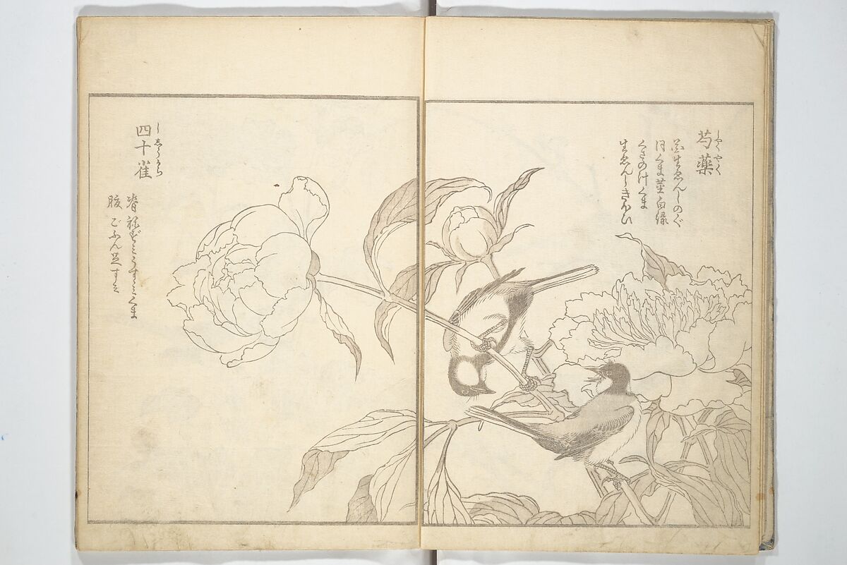 True Depictions of Bird and Flower Pictures (Kachōe shashin zui) 花鳥写真図彙; 花鳥写真図会(かちょうえ しゃしん ずえ), Kitao Shigemasa 北尾重政 (Japanese, 1739–1820), Set of three woodblock printed books; ink on paper, Japan