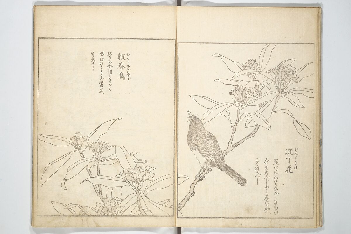 True Depictions of Bird and Flower Pictures (Kachōe shashin zui) 花鳥写真図彙; 花鳥写真図会(かちょうえ しゃしん ずえ), Kitao Shigemasa 北尾重政 (Japanese, 1739–1820), Set of three woodblock printed books; ink on paper, Japan
