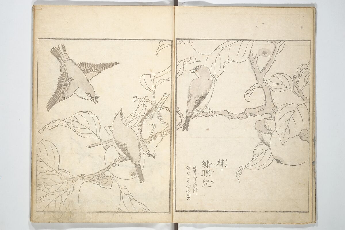 True Depictions of Bird and Flower Pictures (Kachōe shashin zui) 花鳥写真図彙; 花鳥写真図会(かちょうえ しゃしん ずえ), Kitao Shigemasa 北尾重政 (Japanese, 1739–1820), Set of three woodblock printed books; ink on paper, Japan