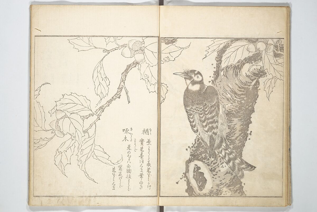 True Depictions of Bird and Flower Pictures (Kachōe shashin zui) 花鳥写真図彙; 花鳥写真図会(かちょうえ しゃしん ずえ), Kitao Shigemasa 北尾重政 (Japanese, 1739–1820), Set of three woodblock printed books; ink on paper, Japan