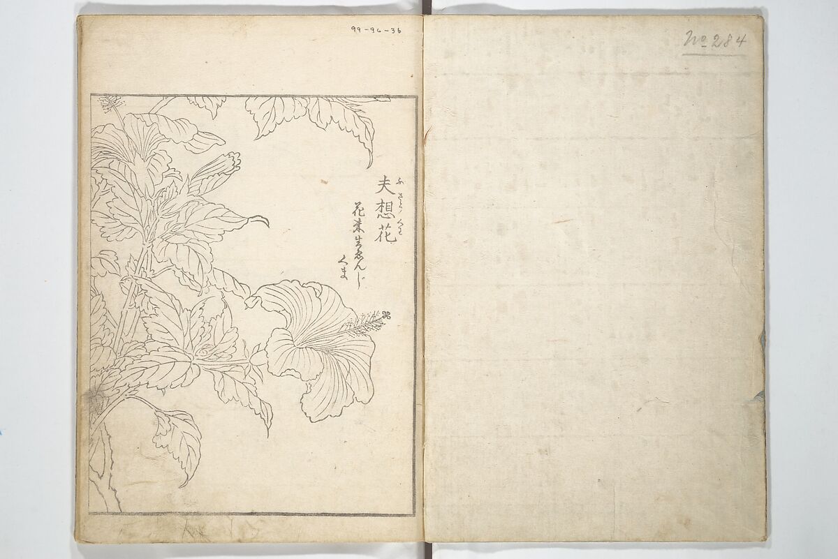 True Depictions of Bird and Flower Pictures (Kachōe shashin zui) 花鳥写真図彙; 花鳥写真図会(かちょうえ しゃしん ずえ), Kitao Shigemasa 北尾重政 (Japanese, 1739–1820), Set of three woodblock printed books; ink on paper, Japan